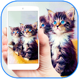 Fuzzy kitten cute pet theme icon