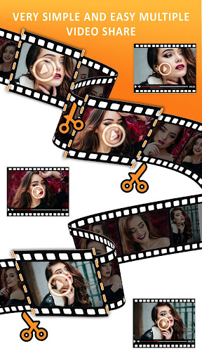 Video Splitter Screenshot 4 - AppWisp.com