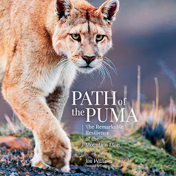 Icon image Path of the Puma: The Remarkable Resilience of the Mountain Lion
