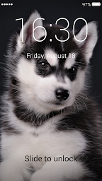 Puppy Lock Screen & Wallpaper