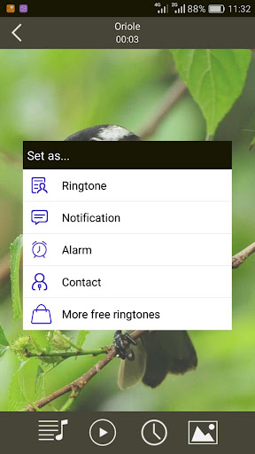 Birds Sounds Ringtones Screen 3
