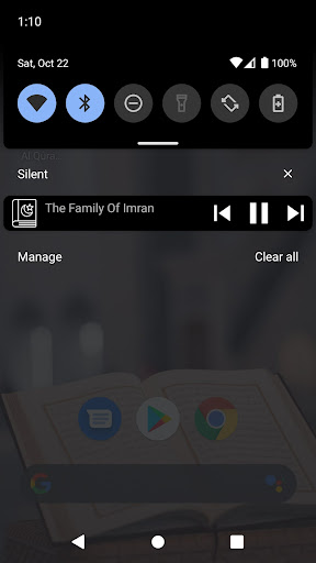 The Quran in Audio screenshot 13