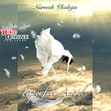 Novel Cinta Imperfect Angel icon