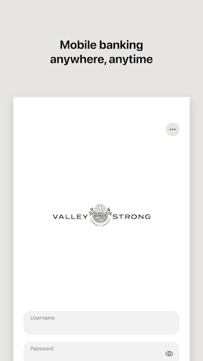 Android application Valley Strong DataMobile screenshort