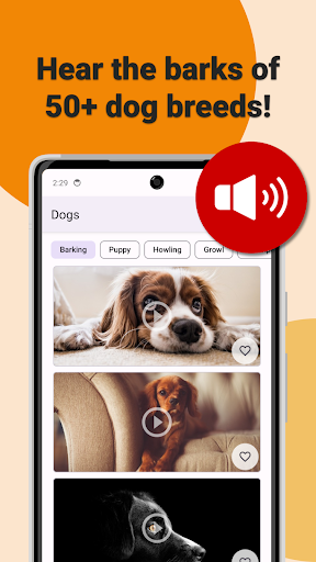 Android application Dog Sounds screenshort