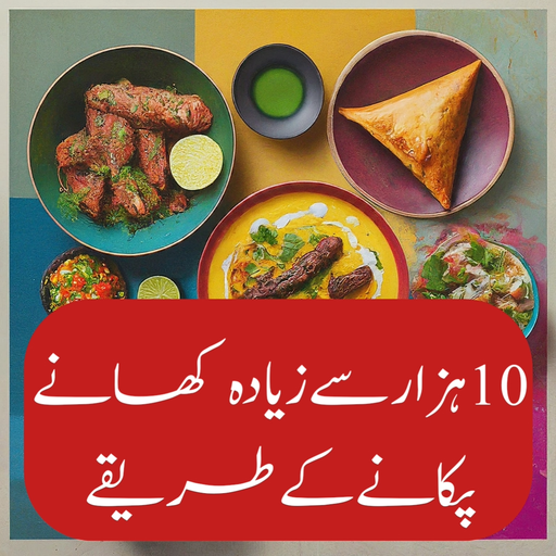 Pakistani Food Recipes Offline Windows'ta İndir