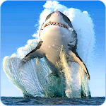 Cover Image of Download Shark Wallpapers 1.1 APK