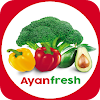 Ayan Fresh - Buy fresh Exotic icon