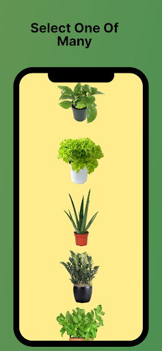 Planter Pal Screen 2