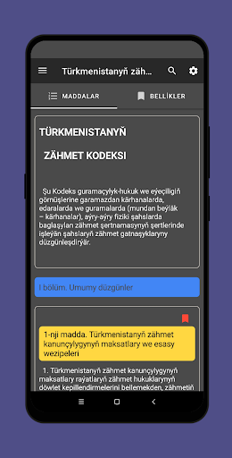 Türkmenistanyň Zähmet kodeksi Screen 3