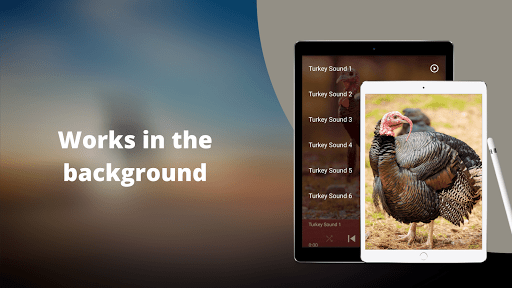 Turkey Sounds Screenshot 3 - AppWisp.com