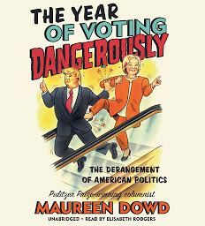 Icon image The Year of Voting Dangerously: The Derangement of American Politics