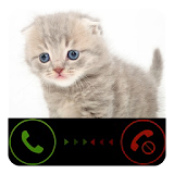 Funny Cat Calling Prank icon