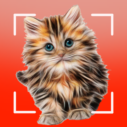 Cat breeds - Smart Identifier 1.0.41.151 Icon