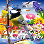 Cover Image of Download Bendiciones Buenos Dias 2023  APK