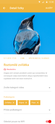 mReportér Screen 3