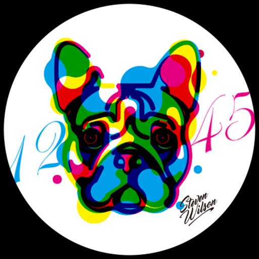 Steven Wilson Watchface logo