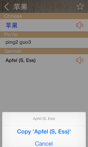 Chinese German Dictionary Screen 3
