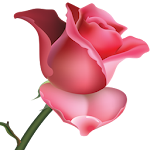Cover Image of Download Flowers and Roses Images Wallpaper Gif 4K 11.7.3 APK
