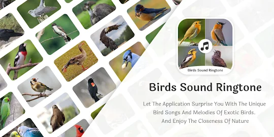 Birds Call Sound And Ringtones