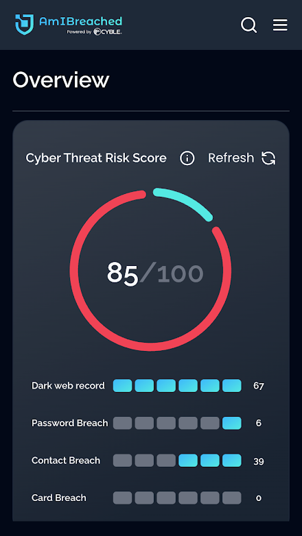 AmIBreached Screen 2