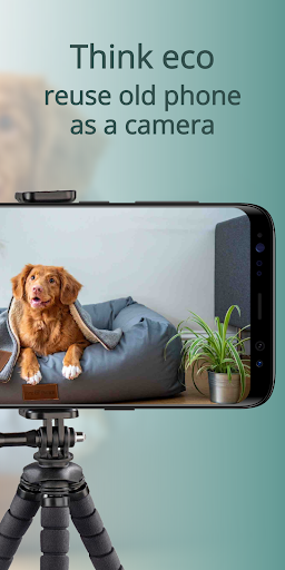 AnyPet Monitor - Cat & Dog Cam Screen 2