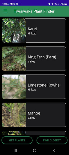 Tiwaiwaka Plants Screen 3