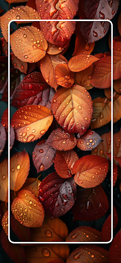 Screenshot of Autumn Wallpapers Nature 4K HD