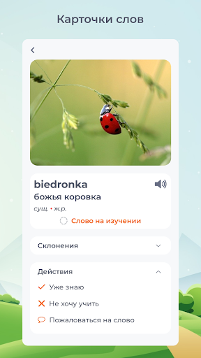 Учим польский язык. 65000 слов Screen 3