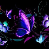 Glitter Butterfly Wallpaper icon