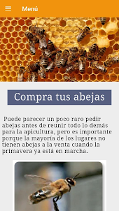 Guía para aprender apicultura