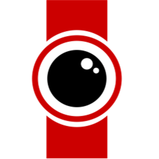 MSInsight logo