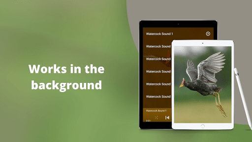 Watercock Sounds Screenshot 3 - AppWisp.com