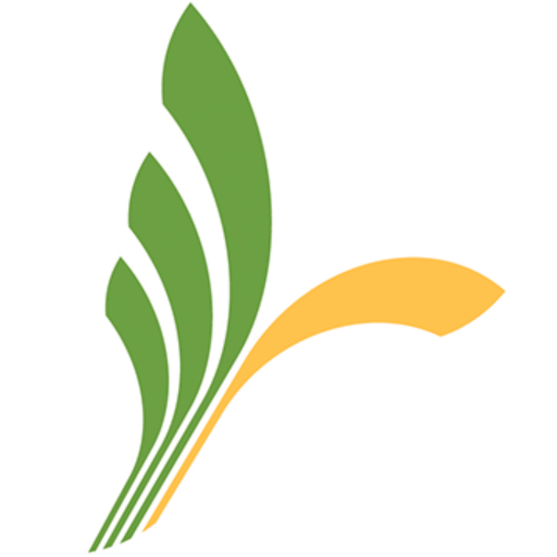 TornaField logo