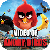 Video of Angry Birds icon