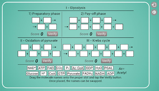 Biomolecules: Cell respiration Screenshot 3 - AppWisp.com