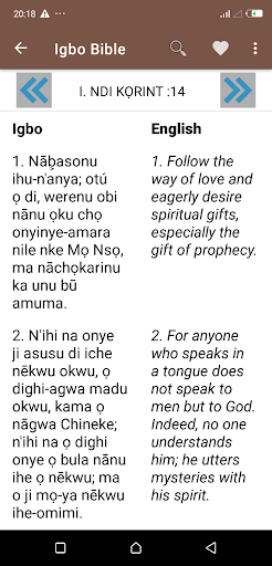 Igbo English Bible screenshot 13