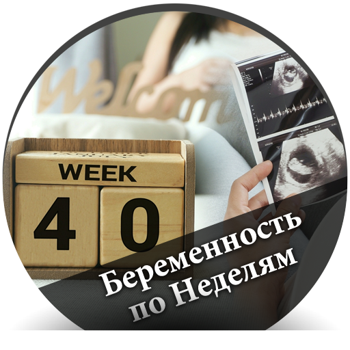 Беременность по Неделям - русс Download on Windows