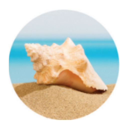 Lee LaPlante Luxury Estates logo