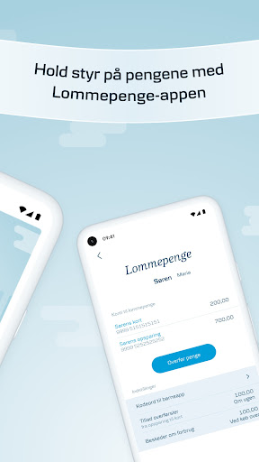 Lommepenge - Danske Bank Screen 2