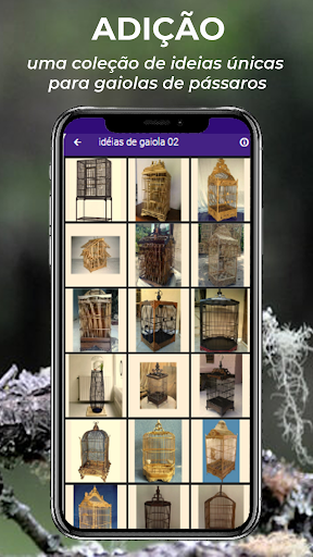 Canto de Juriti Pupu Fêmea Screen 3