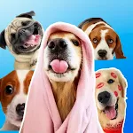Cover Image of Download Dog Stickers for WhatsApp  APK