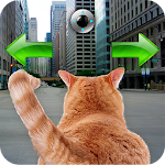 Cover Image of Download Cat In City Go Simulator 1.0 APK