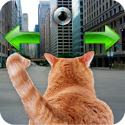 Icon image Cat In City Go Simulator