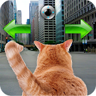 Cat In City Go Simulator 1.0