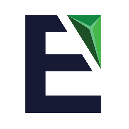 ENS View logo