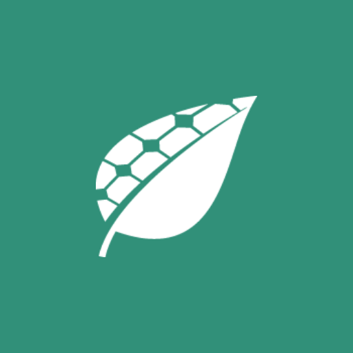 Soliens logo