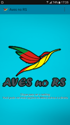 Aves no Sul