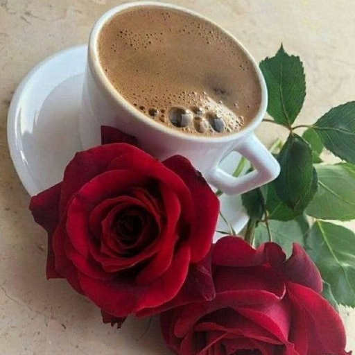 Saludos diarios hermosos logo