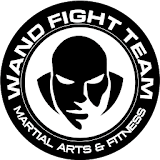 Wand Fight Team icon